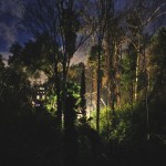 BrainSynth in California and Arizona