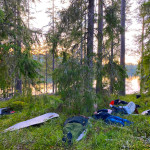 “Do Trees Dream of CO2” at Teatermaskinen