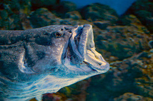 Screenshot 2024-03-12 at 23.27.32 copy