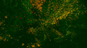 Screenshot 2024-05-06 at 19.53.23 copy