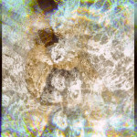 Zygote in Uppsala
