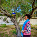 Trees and CO2 in Tunisia