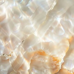 Simple and Complex in Art and Microbes